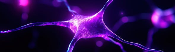 Calcium imaging - neuron